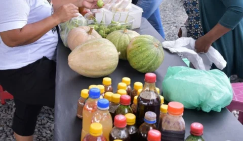Feira da agricultura Indígena: produtos locais são vendidos toda quarta-feira em Boa Vista; confira