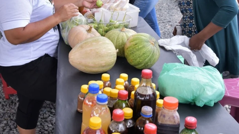 Feira da agricultura Indígena: produtos locais são vendidos toda quarta-feira em Boa Vista; confira