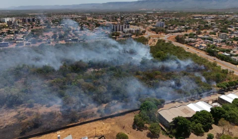 Vídeo: Incêndio atinge área verde próxima a colégio e deixa alunos sem aula em Palmas