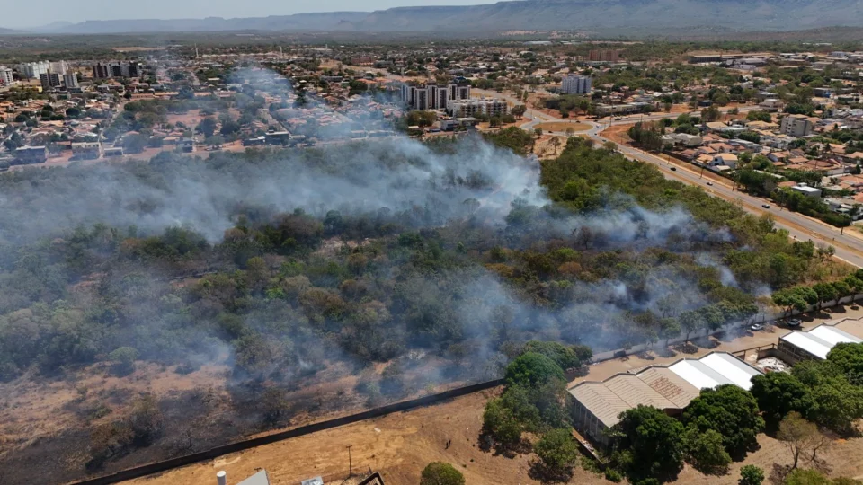 Vídeo: Incêndio atinge área verde próxima a colégio e deixa alunos sem aula em Palmas