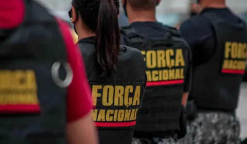 Por que a Força Nacional está atuando na Amazônia? Entenda medida adotada por Lewandowski