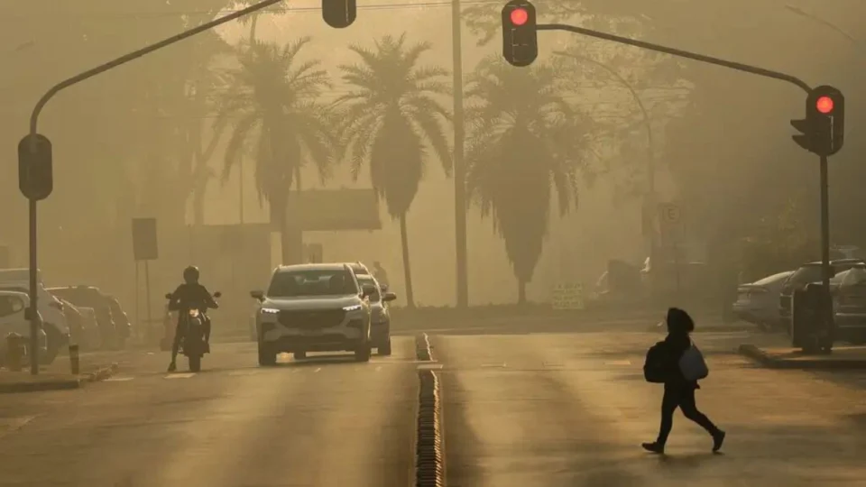 Fumaça pode causar ataques psicóticos em adultos e deficiência em bebês; entenda
