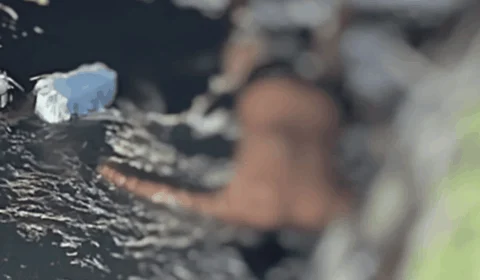 Corpo de homem é encontrado boiando em igarapé na zona leste de Manaus