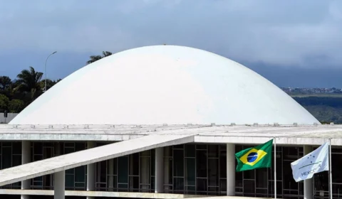 Combate às queimadas: saiba quais projetos estão em tramitação no Senado