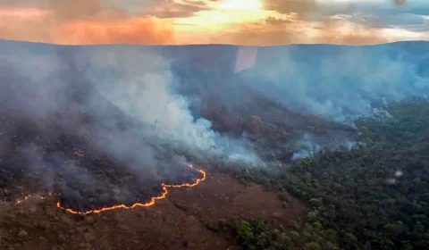 Incêndios na Chapada dos Veadeiros devastam o cerrado e intensificam a fumaça em Brasília