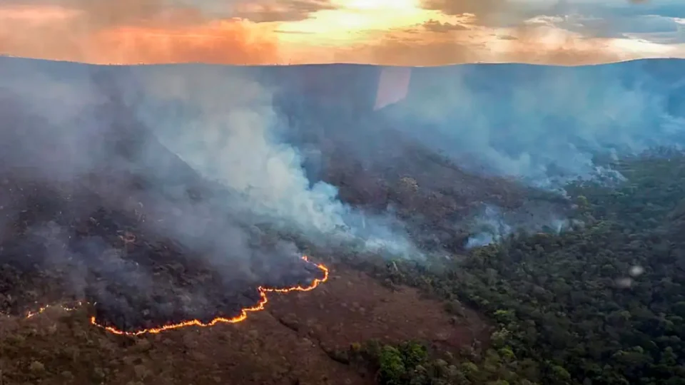 Como lidar com um foco de incêndio: dicas para a segurança