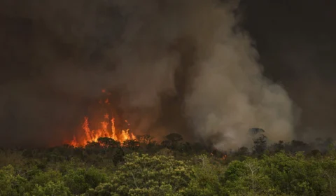 Brasil pega fogo e registra recordes de incêndios florestais