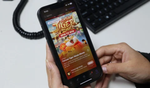 Jogo do Tigrinho: influenciadora do TO é indiciada por lavagem de dinheiro