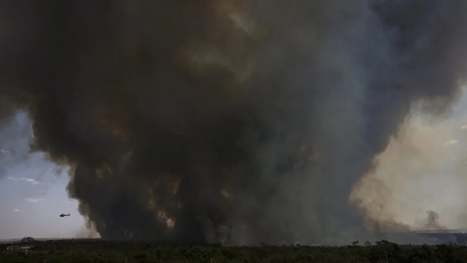 Incêndios no DF vão além do Parque Nacional de Brasília; Veja vídeo assustador