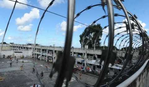 Mulher é presa no DF por torturar um homem com pedaço de madeira, martelo e choque elétrico