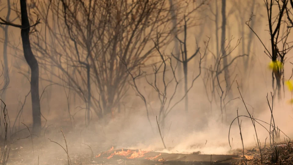 Entenda as ações do governo para combater incêndios e seca no Brasil