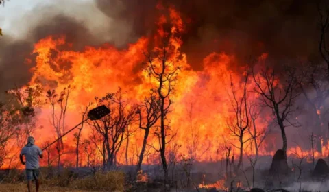 Brasil registrou mais de 900 focos de incêndios na última sexta-feira (27)