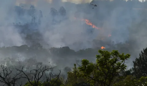 Ipec: 44% dos brasileiros têm opinião negativa sobre gestão de Lula no meio ambiente