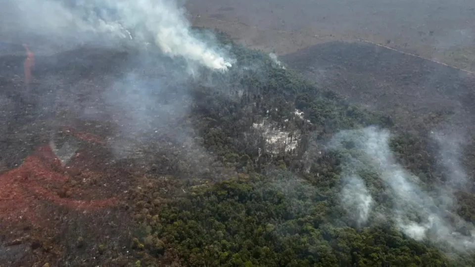 Incêndios no DF podem ser causados por grileiros, apontam investigações