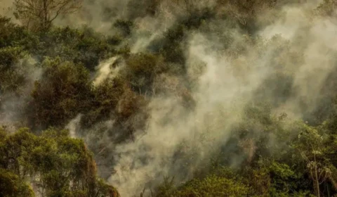 Fumaça em Rondônia: Governo cancela desfile de 7 de Setembro devido a queimadas