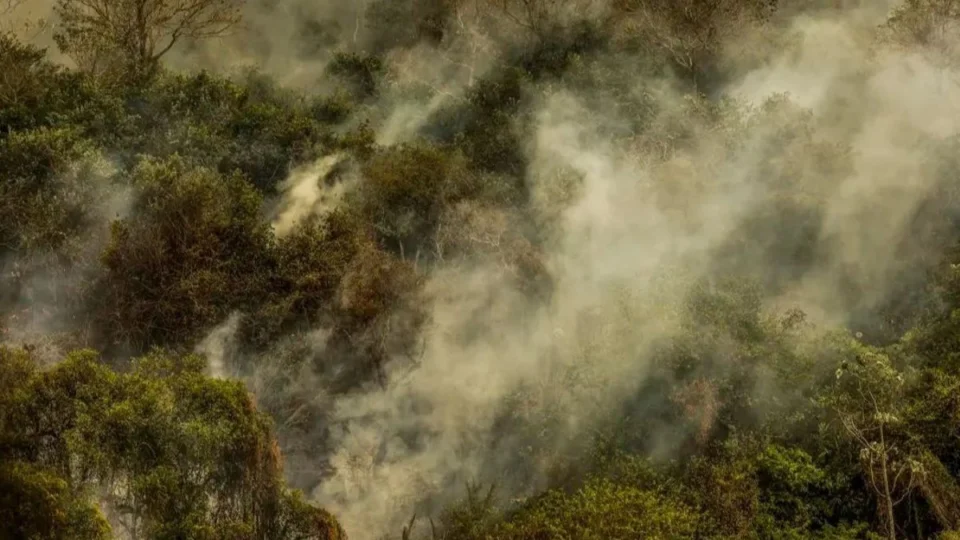 Fumaça em Rondônia: Governo cancela desfile de 7 de Setembro devido a queimadas