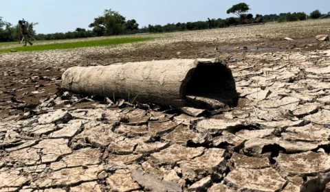 Seca no Amazonas afeta mais de 460 mil pessoas; veja imagens dos efeitos