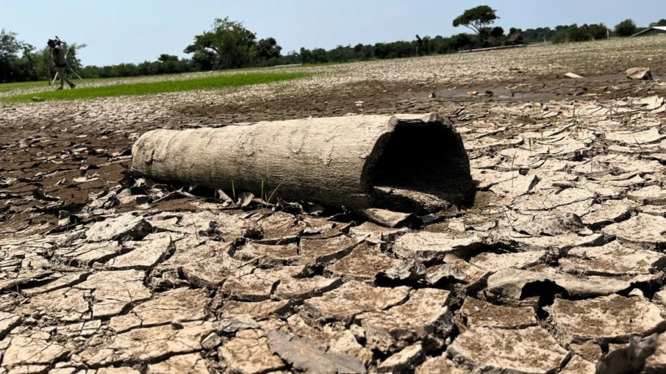 Seca no Amazonas afeta mais de 460 mil pessoas; veja imagens dos efeitos