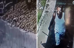 VÍDEO: homem ateia fogo na área externa do INPA, em Manaus