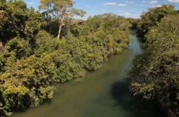 6º Boletim Climático: aumenta o volume de chuva nas regiões norte e sul do TO