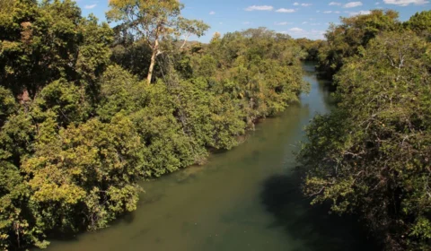 6º Boletim Climático: aumenta o volume de chuva nas regiões norte e sul do TO