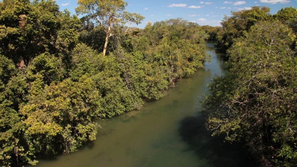 6º Boletim Climático: aumenta o volume de chuva nas regiões norte e sul do TO