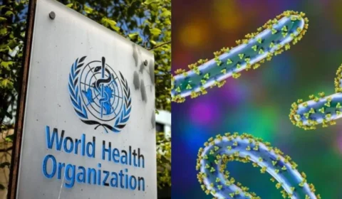 Marburg: autoridades entram em alerta após surto do vírus na Alemanha