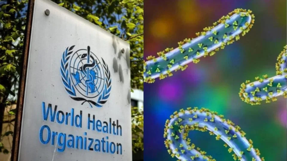 Marburg: autoridades entram em alerta após surto do vírus na Alemanha