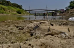 Rio Acre passa dos 3 metros, mas fim da seca ainda é incerto; relembre pior cota