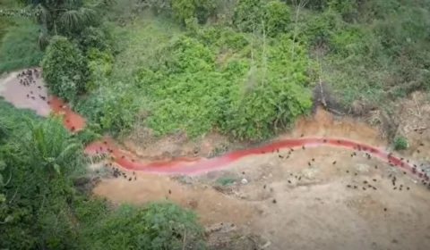 VÍDEO: frigorífico despeja sangue bovino em lago de Boca do Acre