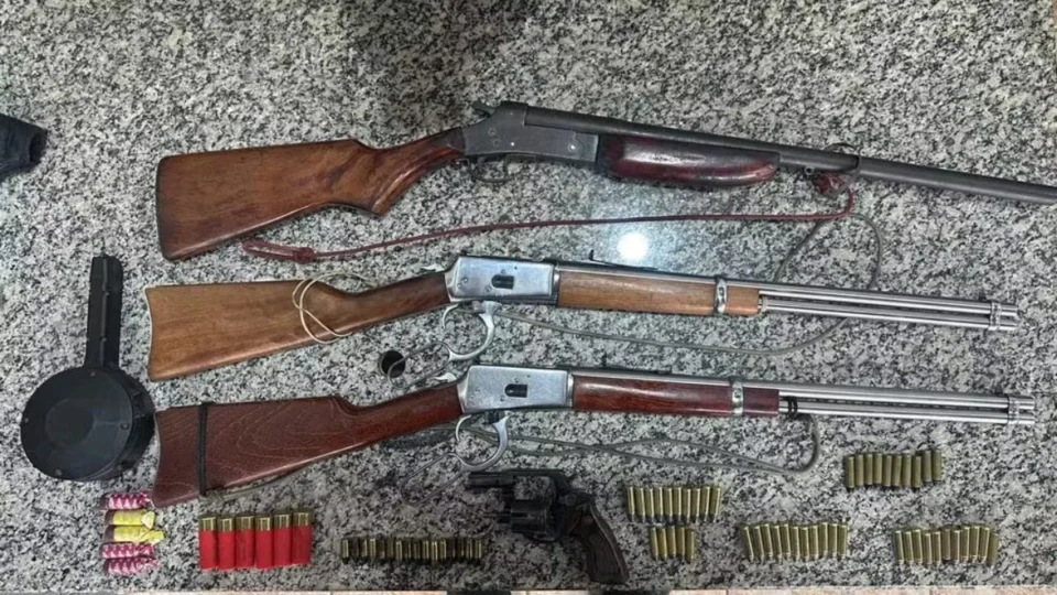 Armas ilegais e animal silvestre domesticado são encontrados em propriedade rural de RO