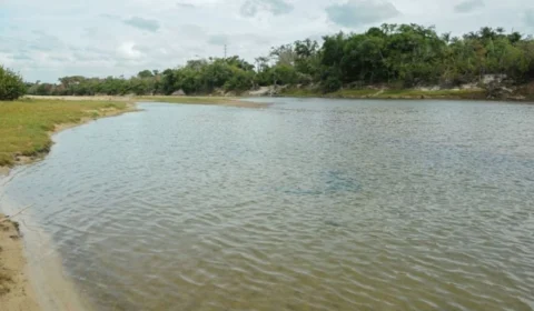Jovens são resgatados após horas perdidos em mata de Boa Vista