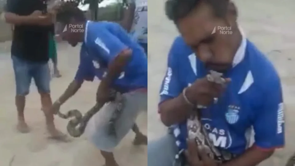 Brincadeira com jiboia termina em ataque violento no rosto em Caapiranga (AM)