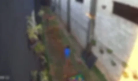 Criança de 9 anos invade clínica veterinária e mata 23 animais no PR; vídeo