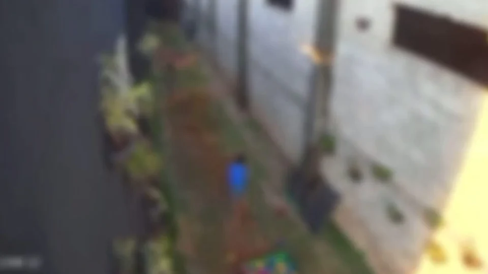 Criança de 9 anos invade clínica veterinária e mata 23 animais no PR; vídeo