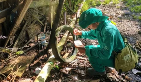 Amazonas confirma primeiro caso de dengue tipo 3 em 15 anos