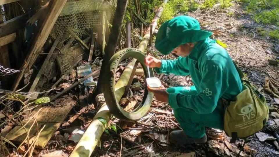 Amazonas confirma primeiro caso de dengue tipo 3 em 15 anos