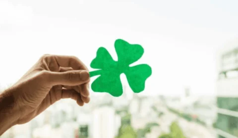 Dia de Sorte de hoje, quinta-feira (24/10), concurso 980; prêmio chega a R$ 550 mil