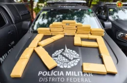 Tráfico de drogas: jovem é presa com 25 kg de entorpecentes na Rodoviária Interestadual de Brasília