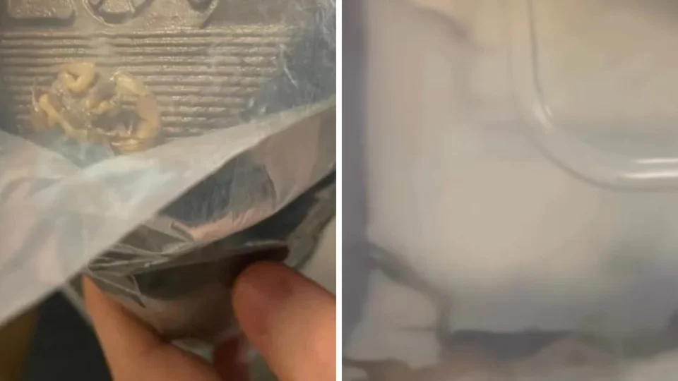 VÍDEO: Jovem encontra escorpião vivo em pacote de entrega da shein
