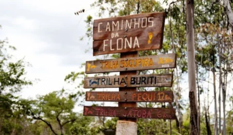 Floresta Nacional de Brasília reabre após maior incêndio registrado