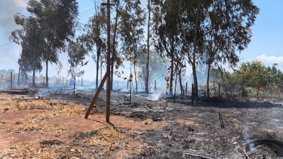 PMDF prende suspeito de atear fogo em mata próxima do Parque Nacional de Brasília