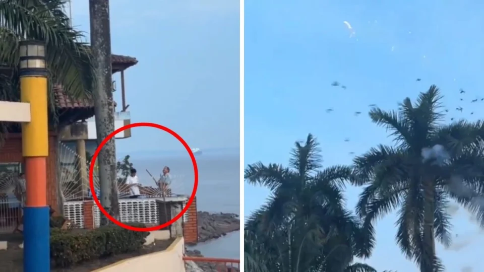 Homem que soltou fogos de artifícios em pássaros é multado em R$ 100 mil no AM