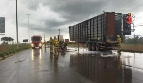 DF: carreta de transporte de animais pega fogo na BR 040
