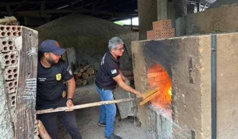 Polícia Civil incinera droga avaliada em R$ 1 milhão no Tocantins