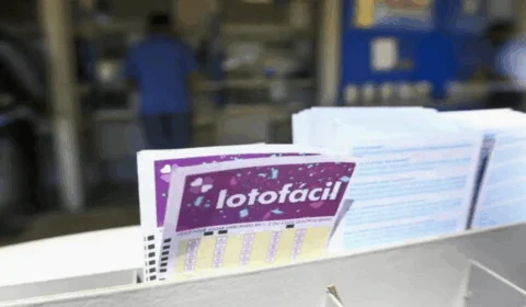 Lotofácil 3231: duas apostas faturam prêmio de R$ 783 mil cada