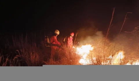 Incêndios florestais: militares realizam combate no Jalapão e Cantão