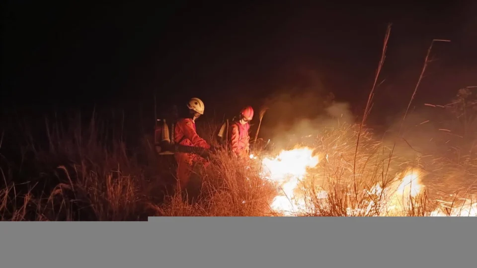 Incêndios florestais: militares realizam combate no Jalapão e Cantão