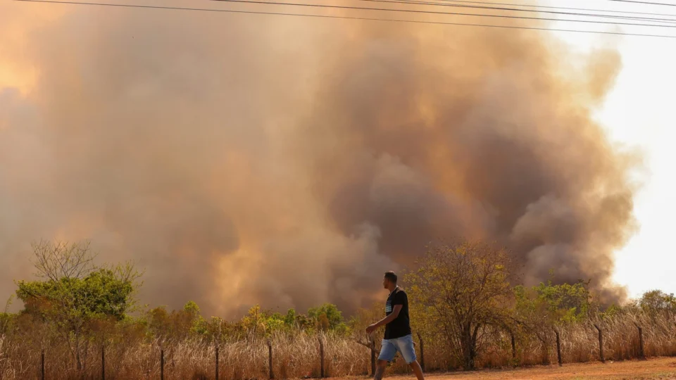Vídeo: Incêndio na divisa do DF com GO assusta moradores