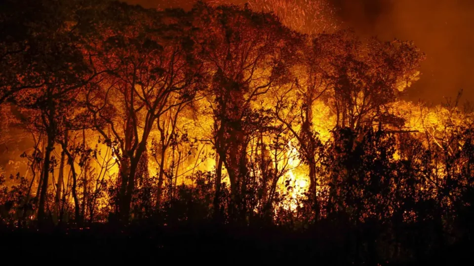 Emissões de carbono de incêndios florestais aumentaram 60%